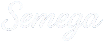 Logo Semega TI